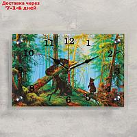 Часы настенные, серия: Животный мир, "Медведи в лесу", 20х30 см, микс
