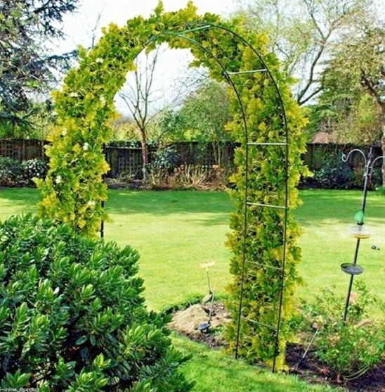 Декоративная садовая арка для вьющихся растений (240*140*37см) трубка 13*0,35мм - фото 1 - id-p205479914