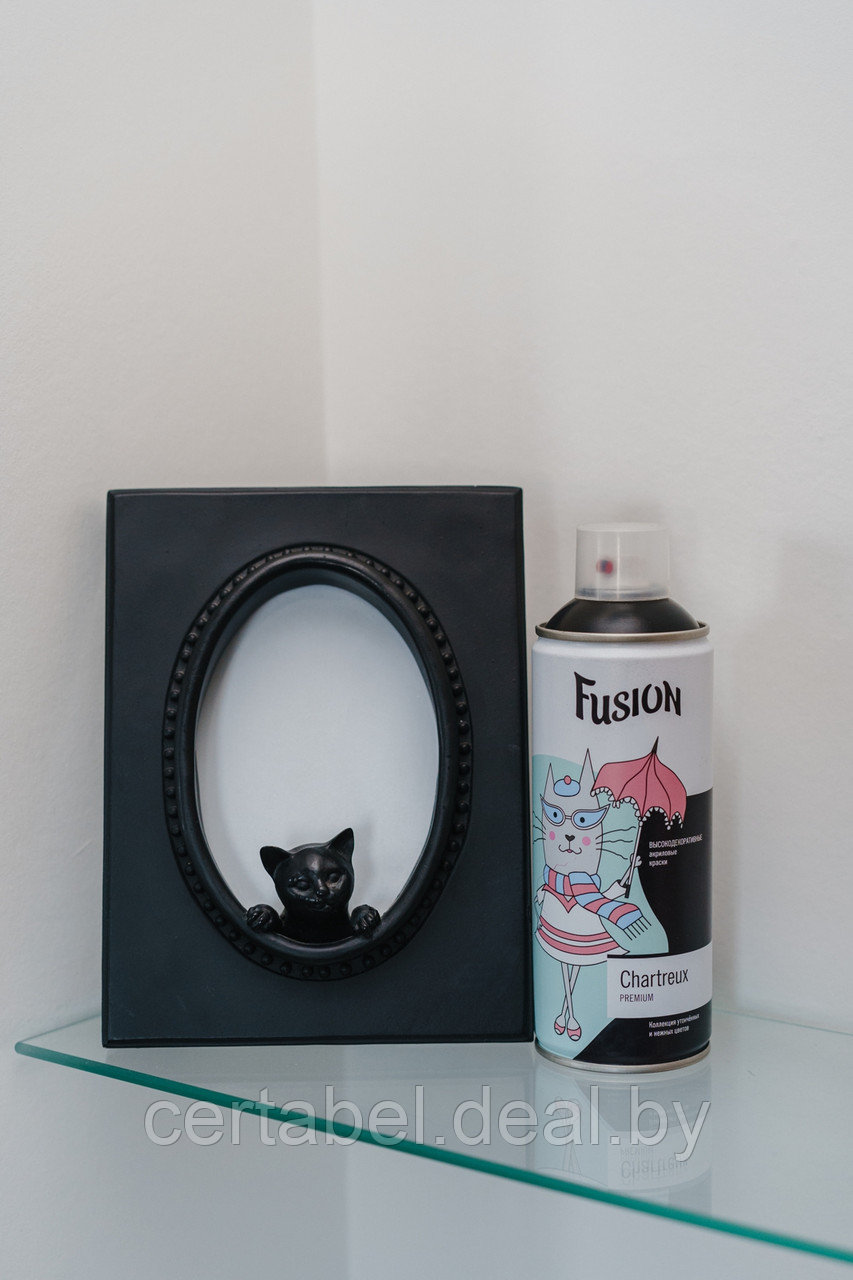 Аэрозольная краска Fusion Chartreux "черный кот" аэрозоль 520мл - фото 4 - id-p205553630