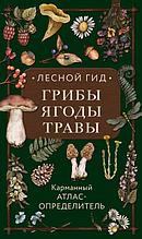 Лесной гид: грибы, ягоды, травы. Карманный атлас-определитель