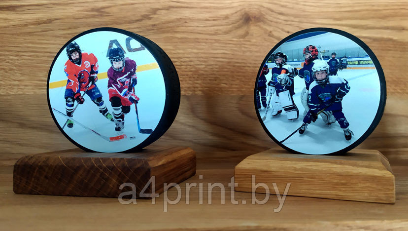 Печать на хоккейных шайбах фото, логотипов - фото 3 - id-p203230468