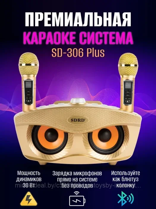 Караоке система SDRD SD-306 plus / bluetooth колонка с двумя микрофонами / колонка-караоке Сова золото