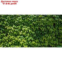 Фотосетка, 250 × 158 см, с фотопечатью, люверсы шаг 1 м, "Виноградная стена"