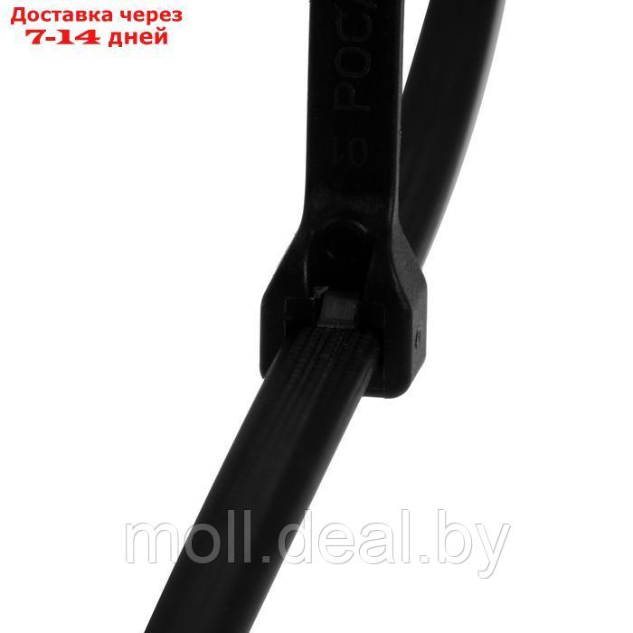 Хомут-стяжка, с металлическим замком, цвет черный, 4.7х200 мм, 100 шт - фото 2 - id-p205667093