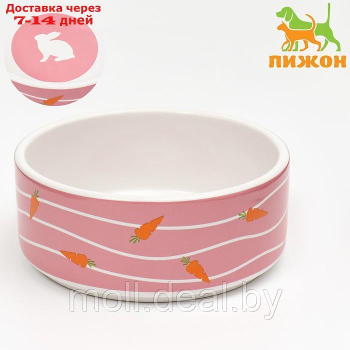 Миска керамическая "Зайчик с морковками", 13 x 13 x 5 cм, розовая - фото 1 - id-p205667348