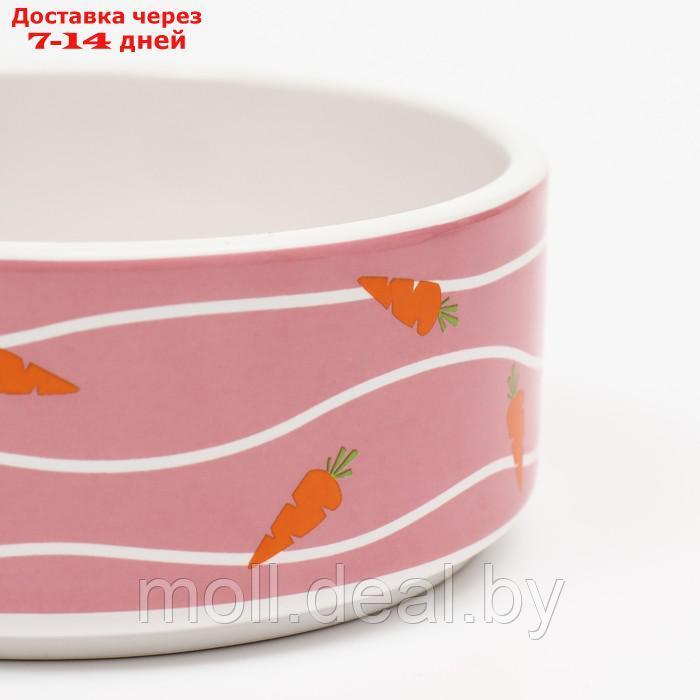Миска керамическая "Зайчик с морковками", 13 x 13 x 5 cм, розовая - фото 4 - id-p205667348