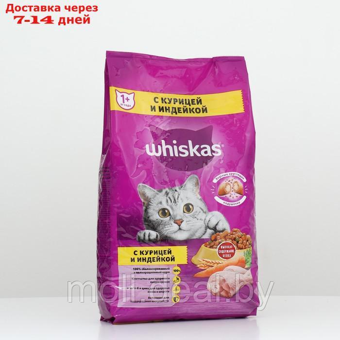 Сухой корм Whiskas для кошек, курица/индейка, подушечки, 1,9 кг