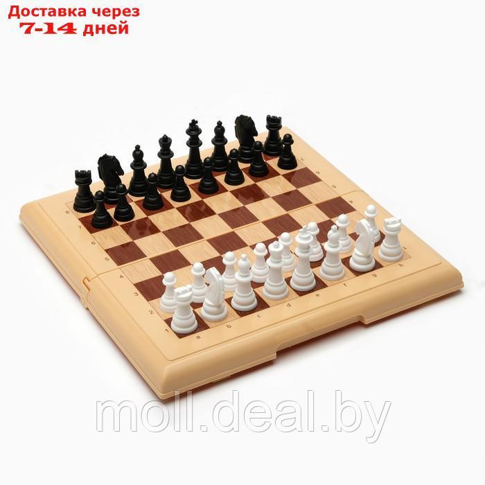 Настольная игра 2 в 1: шашки, шахматы - фото 1 - id-p205666604