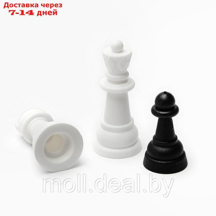 Настольная игра 2 в 1: шашки, шахматы - фото 3 - id-p205666604