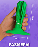 Зубная щетка для животных Toothbrush (размер L) / Игрушка - кусалка зубочистка для крупных пород, фото 10