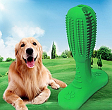 Зубная щетка для животных Toothbrush (размер М) / Игрушка - кусалка зубочистка для мелких и средних пород, фото 2