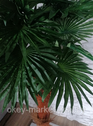 Искусственное дерево декоративное  Пальма 100 см, фото 3