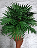 Искусственное дерево декоративное  Пальма 100 см, фото 5