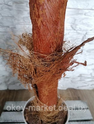 Искусственное дерево декоративное  Пальма 100 см, фото 3