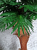 Искусственное дерево декоративное  Пальма 100 см, фото 2