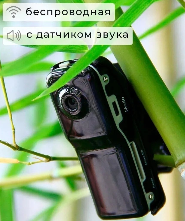 Мини видеорегистратор World Smallest Voice /Беспроводная мини видеокамера - диктофон / Спортивная камера - фото 5 - id-p138769098