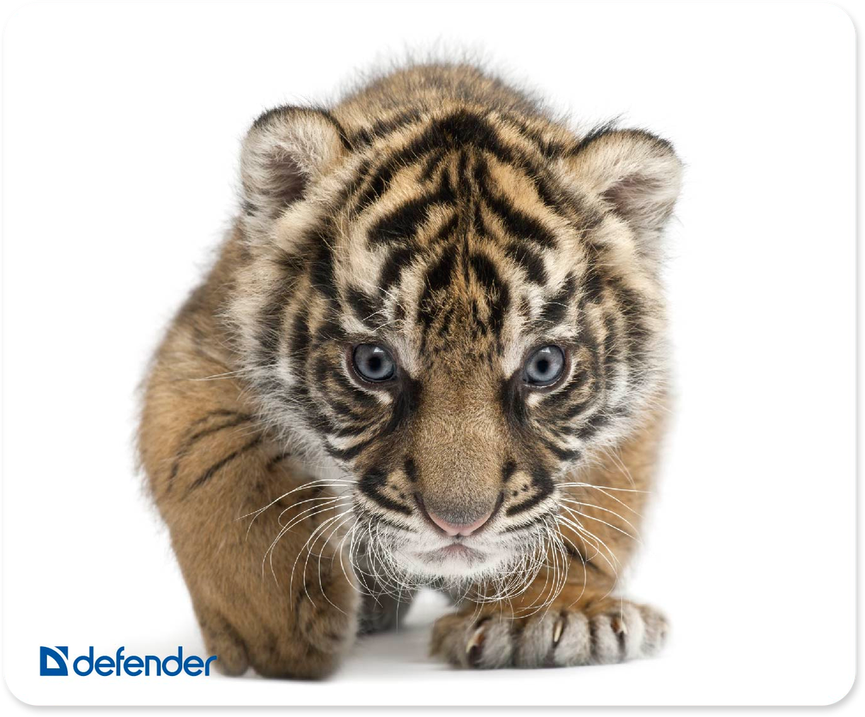 Коврик для компьютерной мыши Defender Silk 230x190x1.6 мм