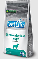 Сухой корм для щенков Farmina Vet Life Dog Gastro-Intestinal Puppy 2 кг