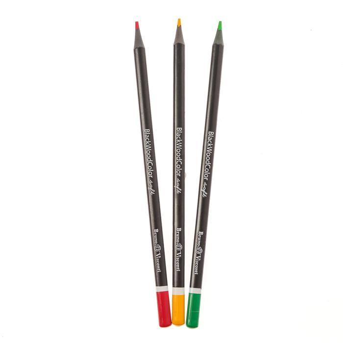 Карандаши цветные 36 цветов BlackWoodColor, пластиковые, трёхгранные, МИКС - фото 4 - id-p205929156