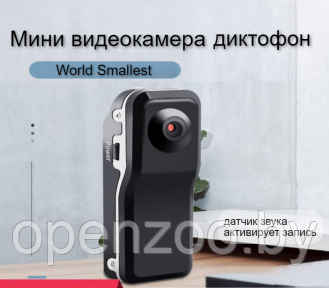 Мини видеорегистратор World Smallest Voice /Беспроводная мини видеокамера - диктофон / Спортивная камера - фото 1 - id-p76965503