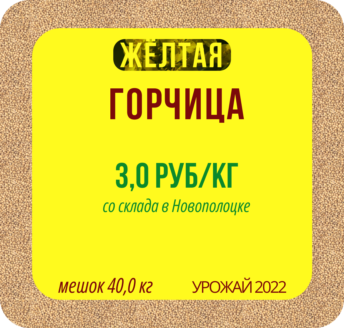 Горчица желтая на сидераты, урожай 2022 г