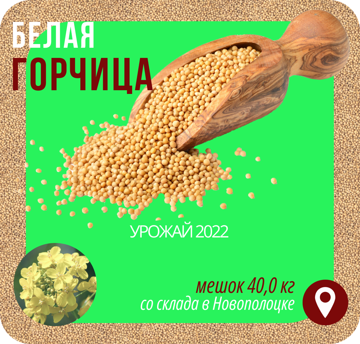 Семена Горчицы Белой, Урожай 2022 Года, Отличное Качество ГОСТ.
