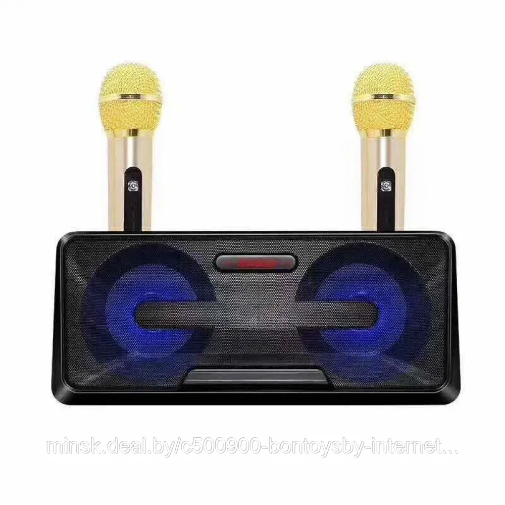 Караоке система с двумя микрофонами SDRD SD-301 / Колонка