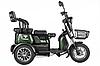 Трицикл Rutrike Бумеранг 650W 48V, фото 6