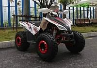 Квадроцикл atv MMG Coyote 125cc