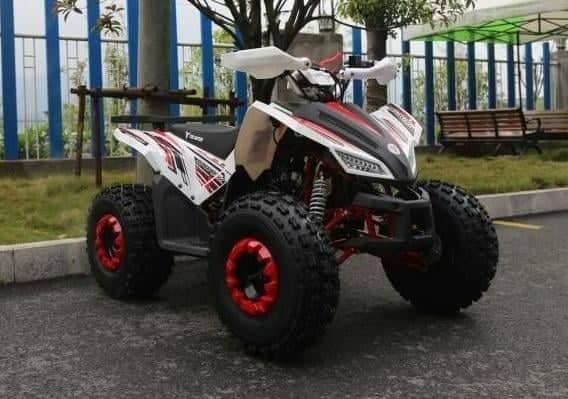 Квадроцикл atv MMG Coyote 125cc - фото 1 - id-p205975464