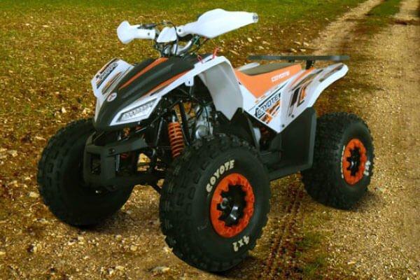 Квадроцикл atv MMG Coyote 125cc - фото 10 - id-p205975464