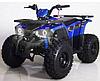 Квадроцикл wild MMG Hunter 125cc, фото 7