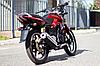 Мотоцикл RACER Magnum RC250-C5B 250cc, фото 2