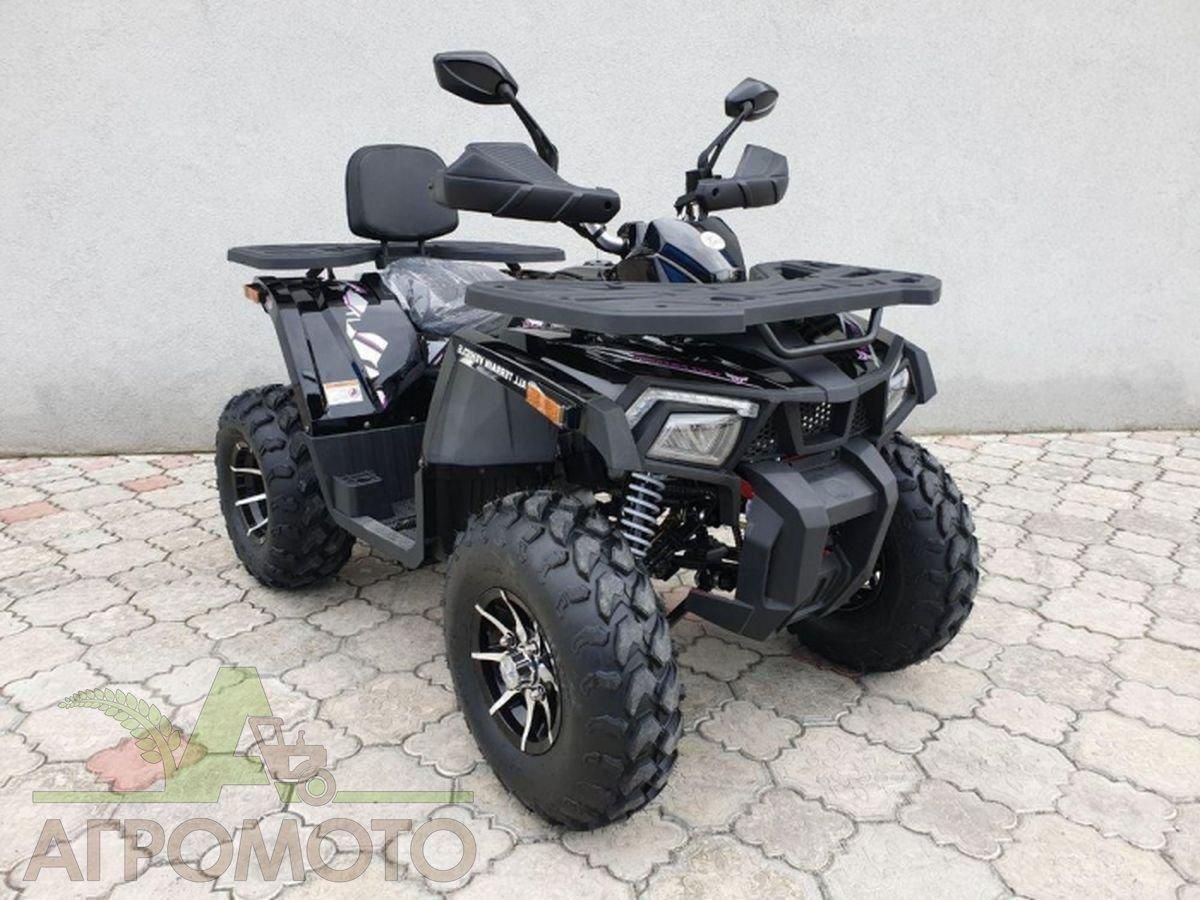 Квадроцикл 200 кубов MMG Shark 200cc - фото 4 - id-p205975652