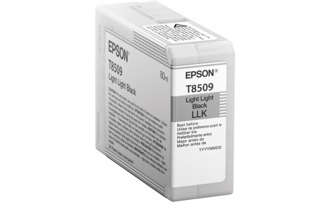 Заправка картриджей для Epson SC-P800 с заменой чипа. (T8509 Light Light Black, 80 мл) - фото 1 - id-p205978568