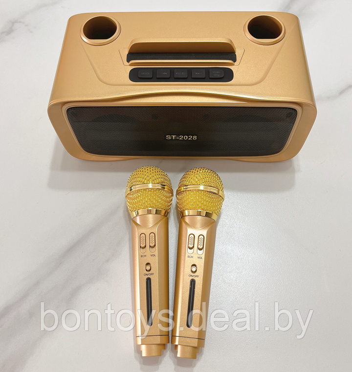Портативная караоке система ST-2028 с 2 микрофонами - фото 5 - id-p205983016