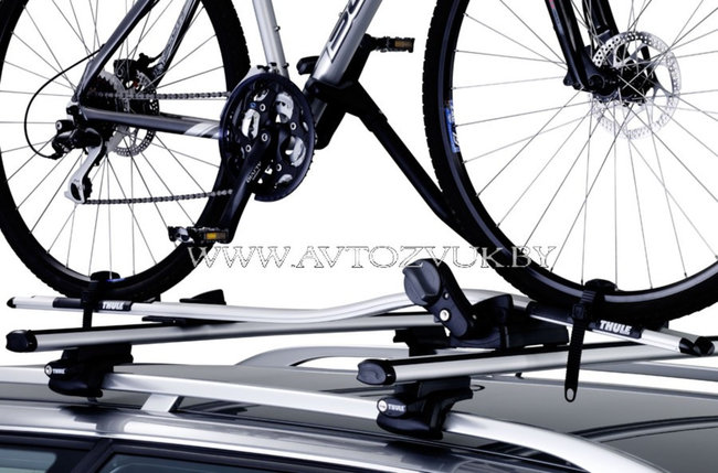 Багажник для велосипеда Thule ProRide 591 TwinPac, фото 2