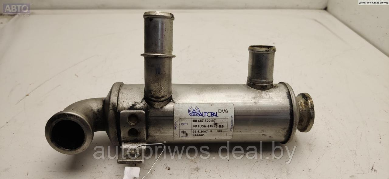Охладитель отработанных газов Citroen C5 (2001-2008) - фото 1 - id-p205582758