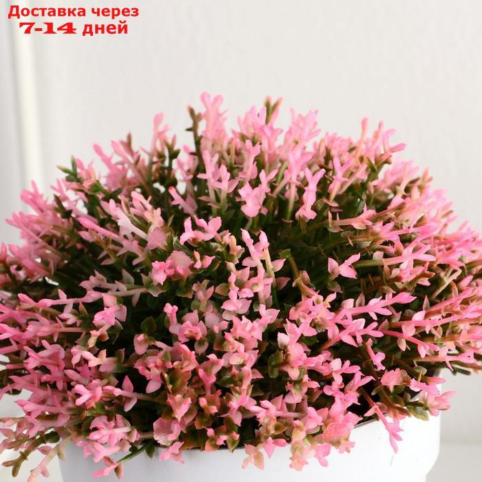 Бонсай "Мелкие цветочки" 8х12 см микс - фото 2 - id-p206081842
