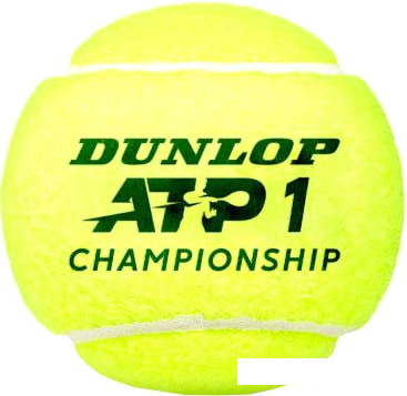 Мяч Dunlop ATP Championship (4 шт) - фото 1 - id-p205473217