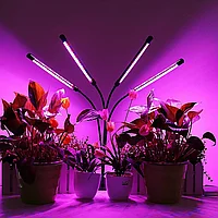 Фитолампа для растений и рассады с 4 светильниками