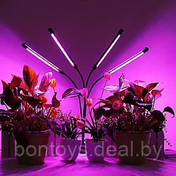 Фитолампа для растений и рассады с 4 светильниками