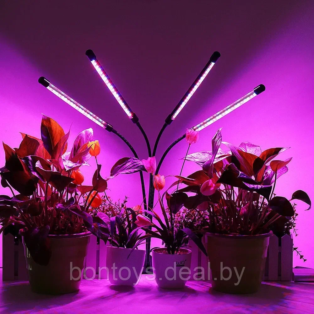 Фитолампа для растений и рассады с 4 светильниками - фото 1 - id-p206307285