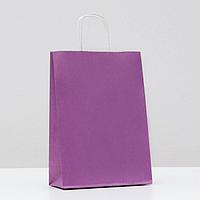 Пакет подарочный крафт «Lilac» 18 х 8 х 25 см