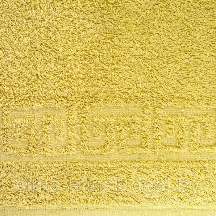 Полотенце махровое с бордюром 70х140 см,PALM, хлопок 100%, 430г/м2 - фото 3 - id-p206437183