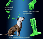 Зубная щетка для животных Toothbrush (размер М) / Игрушка - кусалка зубочистка для мелких и средних пород, фото 4