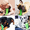 Зубная щетка для животных Toothbrush (размер М) / Игрушка - кусалка зубочистка для мелких и средних пород, фото 10