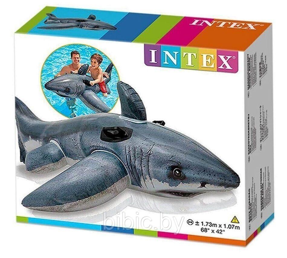 Детский надувной плот "Акула" INTEX Интекс. Игрушка-наездник плавательный для купания плавания детей 57525NP - фото 3 - id-p206454699