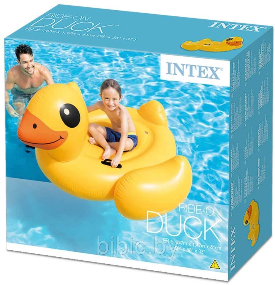 Детская надувная игрушка плотик Жёлтый утёнок intex Интекс круг для купания плавания детей 57556NP - фото 2 - id-p206454716