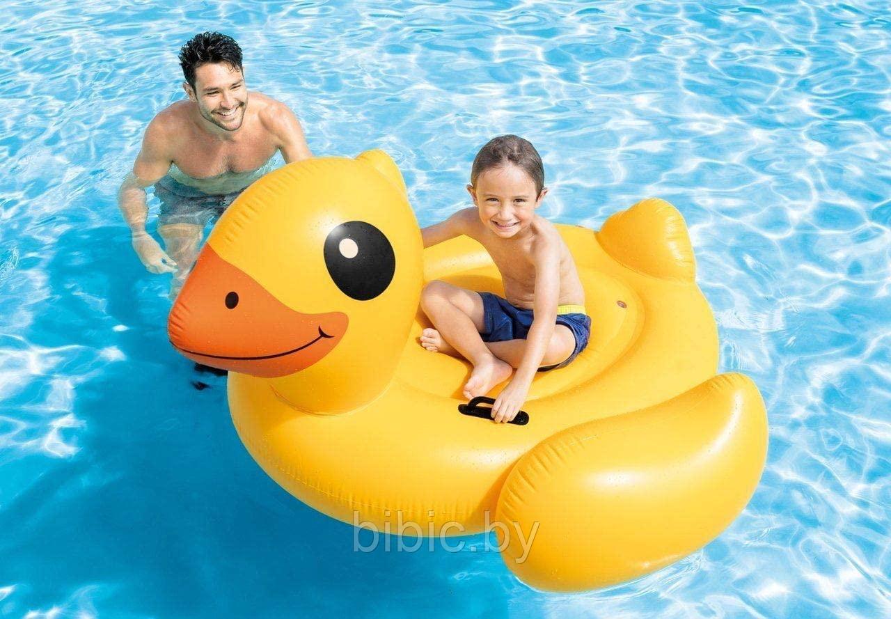 Детская надувная игрушка плотик Жёлтый утёнок intex Интекс круг для купания плавания детей 57556NP - фото 4 - id-p206454716